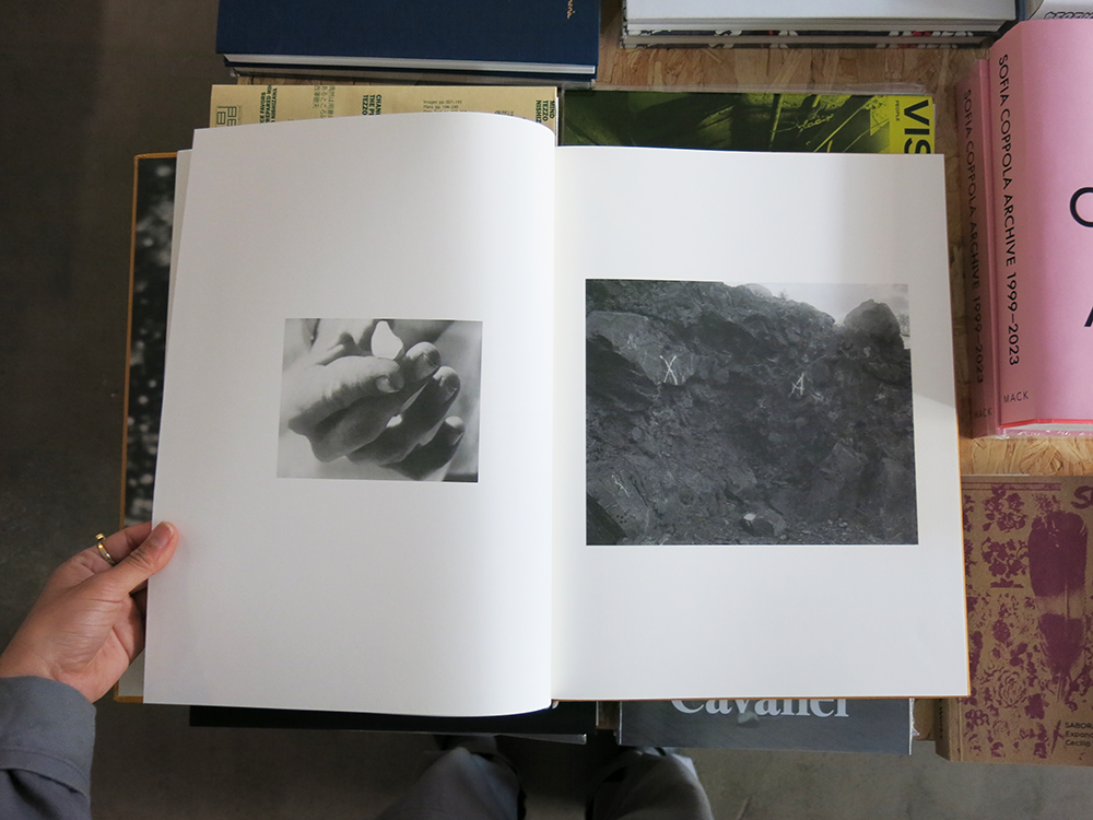 Matthew Genitempo – Dogbreath – Perimeter Books Matthew Genitempo – Dogbreath – Perimeter Books