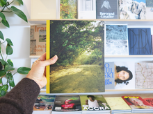 Load image into Gallery viewer, Jake Nemirovsky – Big Bug