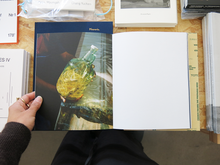 Load image into Gallery viewer, Jake Nemirovsky – Big Bug