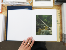 Load image into Gallery viewer, Jake Nemirovsky – Big Bug