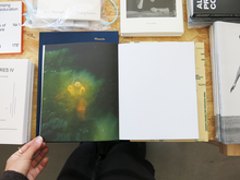 Load image into Gallery viewer, Jake Nemirovsky – Big Bug