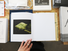 Load image into Gallery viewer, Jake Nemirovsky – Big Bug