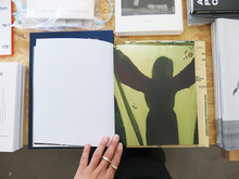 Load image into Gallery viewer, Jake Nemirovsky – Big Bug