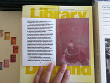 Load image into Gallery viewer, Melon 2: Two Faces of Asian Delicacies: Crisis Food and Colonial Blends