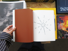 Load image into Gallery viewer, The Collected Poems of Mary Ellen Solt