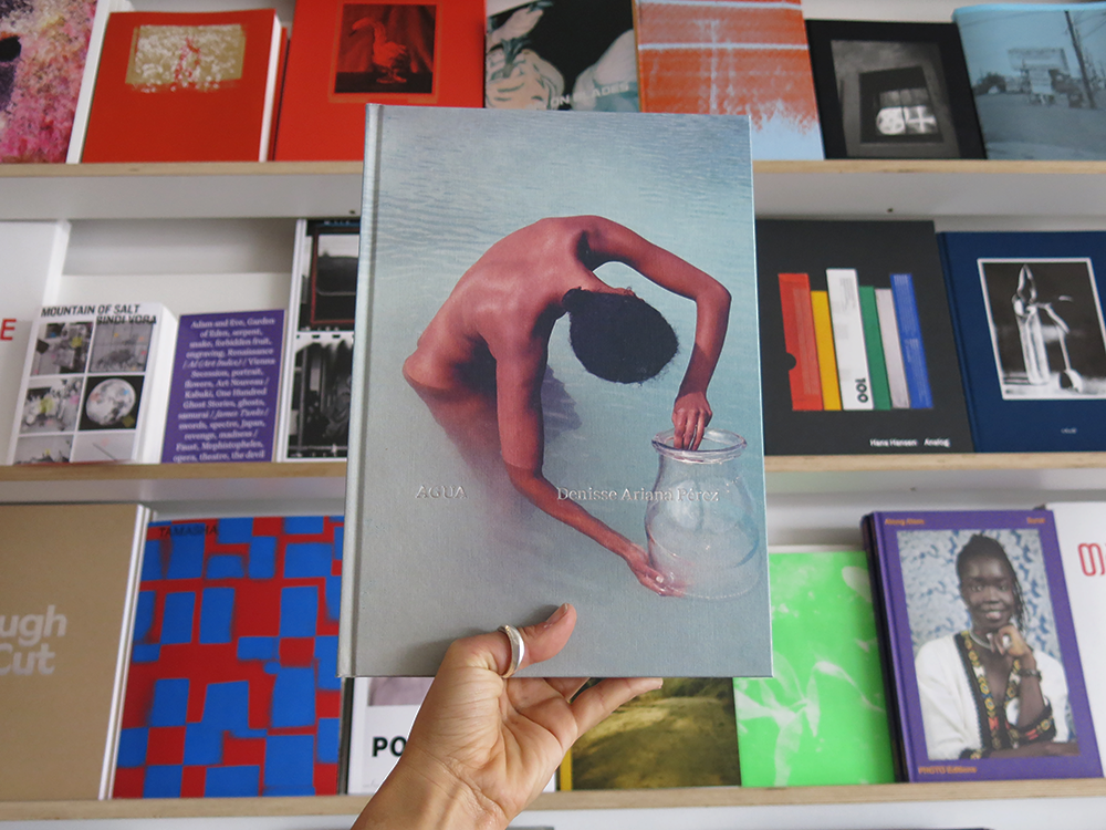 Denisse Ariana Perez AGUA アートブック　本　洋書 Denisse Ariana Pérez – AGUA – Perimeter Books