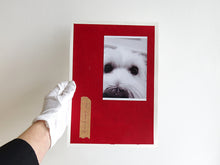 Load image into Gallery viewer, SPECIAL EDITION: David Thomas – Amid