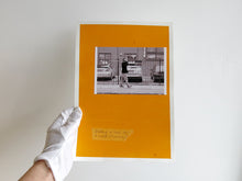 Load image into Gallery viewer, SPECIAL EDITION: David Thomas – Amid