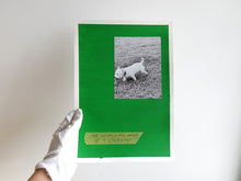 Load image into Gallery viewer, SPECIAL EDITION: David Thomas – Amid