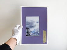 Load image into Gallery viewer, SPECIAL EDITION: David Thomas – Amid