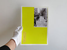 Load image into Gallery viewer, SPECIAL EDITION: David Thomas – Amid