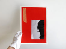 Load image into Gallery viewer, SPECIAL EDITION: David Thomas – Amid