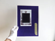 Load image into Gallery viewer, SPECIAL EDITION: David Thomas – Amid