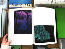 Load image into Gallery viewer, Angel Albarrán – Windows to the Unexpected