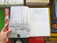 Load image into Gallery viewer, Alina Schmuch: Mouth of the Waterway