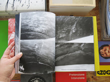 Load image into Gallery viewer, Alina Schmuch: Mouth of the Waterway