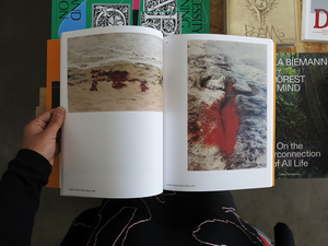 PRE-ORDER: Ana Mendieta – Search for Origin