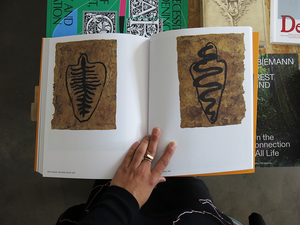 PRE-ORDER: Ana Mendieta – Search for Origin