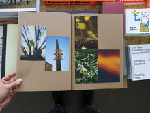Load image into Gallery viewer, PRE-ORDER: Widening the Lens: Photography, Ecology, and the Contemporary Landscape