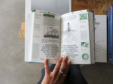 Load image into Gallery viewer, PRE-Order: Seeing | Making —&gt; Room for Thought