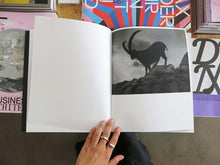 Load image into Gallery viewer, Rick van der Klooster – Between the Mountain and the River