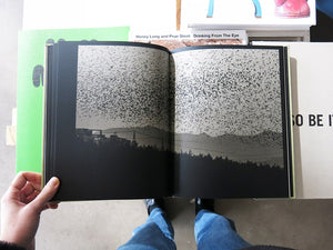 Kyunghee Lee – On Birds (Des oiseaux)