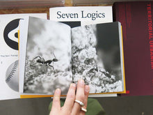 Load image into Gallery viewer, Fernando Maquieira – A Tiny Story