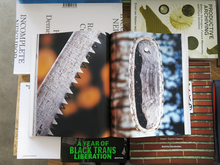 Load image into Gallery viewer, PRE-ORDER: MacGuffin 12: The Log