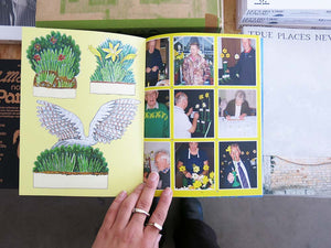 PRE-ORDER: Pleasant Place 7: Daffodils (Narcissus)