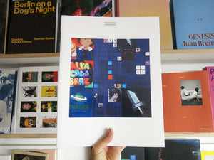 Simon Denny – Landscapes