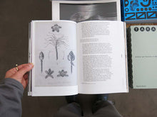 Load image into Gallery viewer, Yan Wang Preston – With Love. From an Invader: Rhododendrons, Empire, China and Me