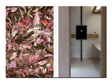 Load image into Gallery viewer, SPECIAL EDITION PRE-ORDER: Izabela Pluta – Lumina: The Photic Atlas