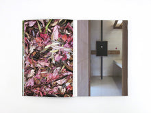 Load image into Gallery viewer, Izabela Pluta – Lumina: The Photic Atlas