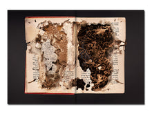 Load image into Gallery viewer, PRE-ORDER: Liss Fenwick – The Colony