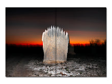 Load image into Gallery viewer, PRE-ORDER: Liss Fenwick – The Colony