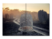 Load image into Gallery viewer, PRE-ORDER: Liss Fenwick – The Colony