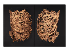 Load image into Gallery viewer, PRE-ORDER: Liss Fenwick – The Colony