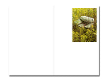 Load image into Gallery viewer, PRE-ORDER: Mike Slack – Walking in Place 1: New Orleans