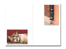 Load image into Gallery viewer, PRE-ORDER: Mike Slack – Walking in Place 1: New Orleans