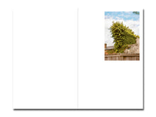 Load image into Gallery viewer, PRE-ORDER: Mike Slack – Walking in Place 1: New Orleans