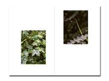 Load image into Gallery viewer, PRE-ORDER: Mike Slack – Walking in Place 2: Berlin