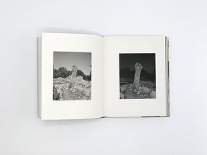 Georgia Metaxas – Mnemosyne Grove