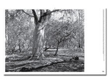 Load image into Gallery viewer, PRE-ORDER: On Country: Photography from Australia
