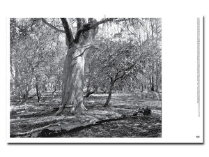 PRE-ORDER: On Country: Photography from Australia