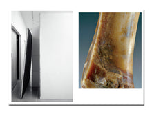 Load image into Gallery viewer, PRE-ORDER: Peter Rauch – 2, 3