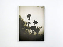 Load image into Gallery viewer, Sarah Walker – The Well | Art Book Fair