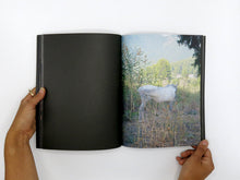 Load image into Gallery viewer, Sarah Walker – The Well | Art Book Fair