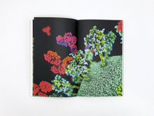Load image into Gallery viewer, Sight Unseen: Visualising the Unseeable through Art and Science | Art Book Fair