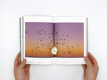Load image into Gallery viewer, Sriwhana Spong: HA HA HA