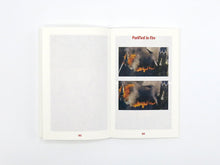 Load image into Gallery viewer, Tim Coghlan – Hell's Gates II: Retribution | Art Book Fair